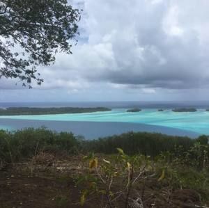 Meet your Posher, Leo